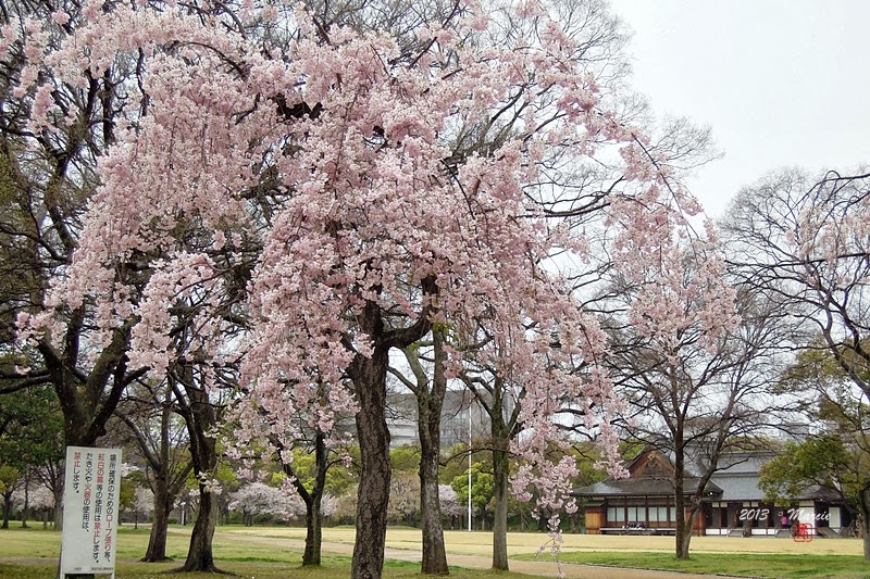 大阪城西之丸庭(おおさかじょう にしのまる)